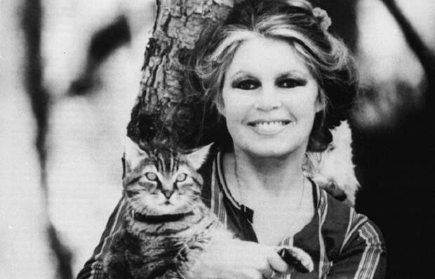 «Я любила, когда говорили, что у меня милый маленький зад», — 83-летняя Брижит Бардо о скандале с домогательствами.