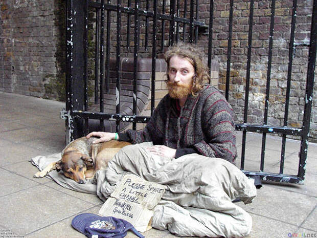 dogs_dont_care_about_money_all_they_need_is_love_640_20