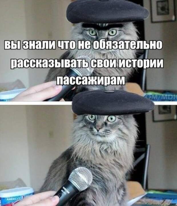 АВТОприколы на Бугаге (26 фото)