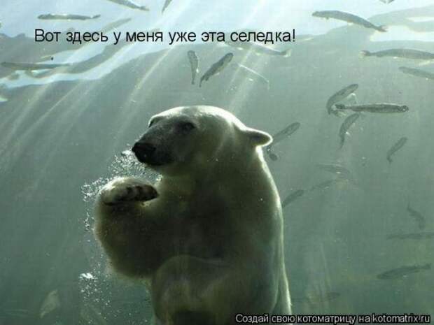 Мысли вслух :)