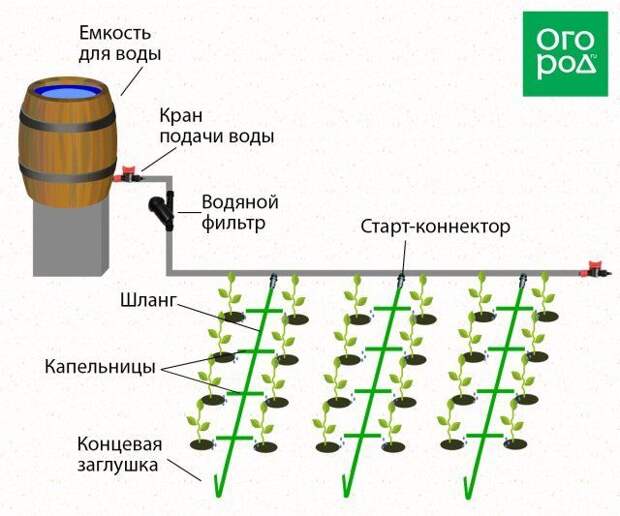 Коллаж - капельницы 