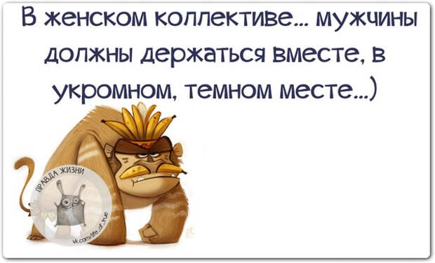 Позитивные фразочки со смыслом жизнь, картинки, смысл, фраза, цитаты, юмор