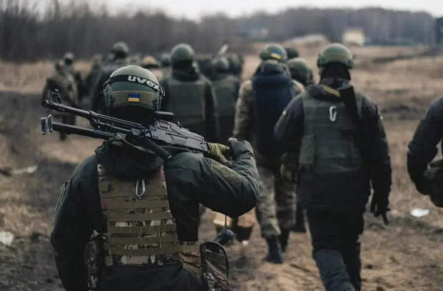 На заседании очередной ставки Зеленский принял решение больше не формировать новые бригады в составе ВСУ