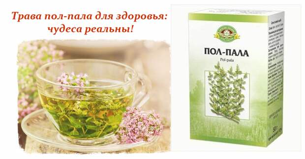 2749438_Trava_polpala_dlya_zdorovya (700x365, 300Kb)