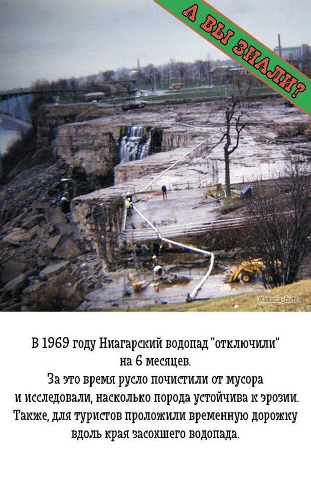 интересные факты