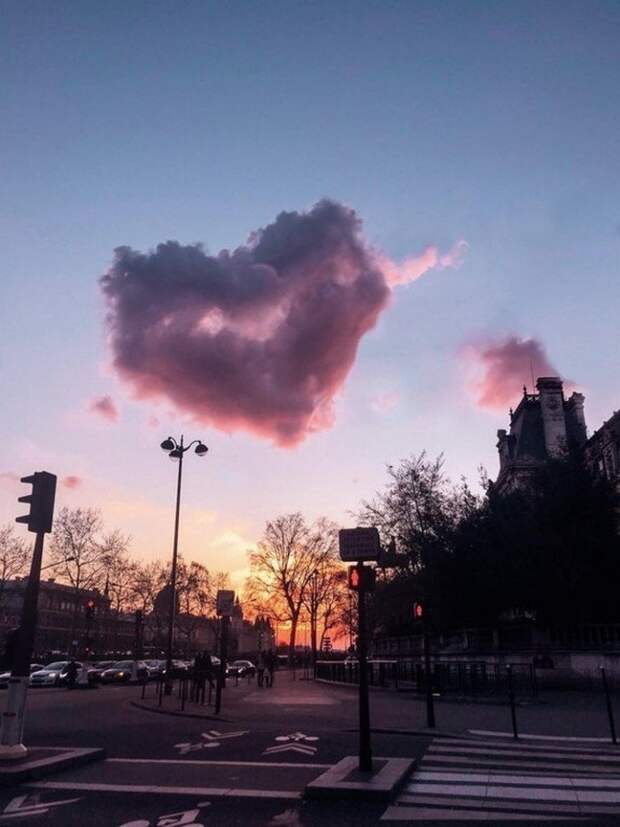 22 фотографии, в реальность которых довольно трудно поверить