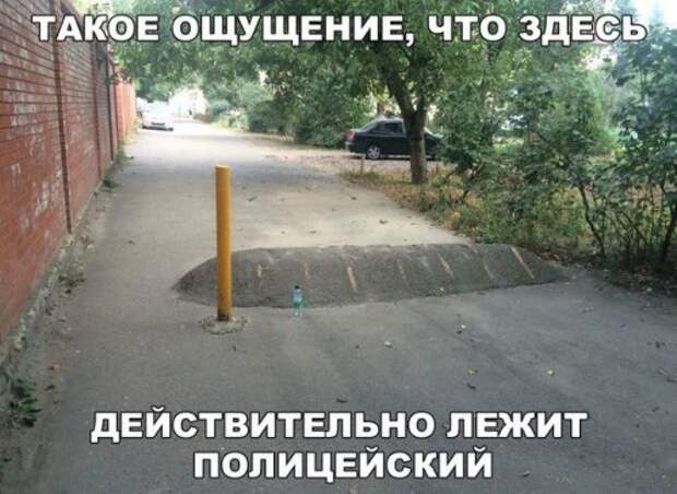 Новые АВТОприколы (35 фото)