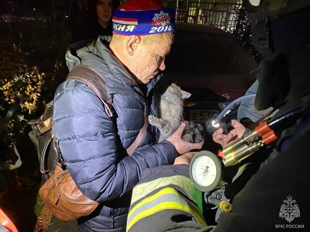 Фото: МЧС Алтайского края