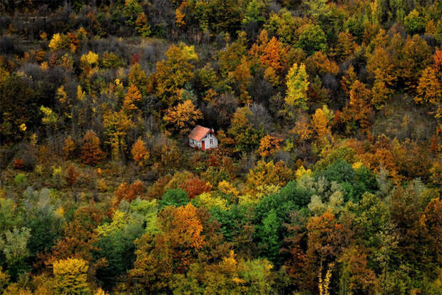 Каждодневные прогулки в осеннем лесу положительно влияют на здоровье человека. Каждодневные прогулки в осеннем лесу положительно влияют на здоровье человека.