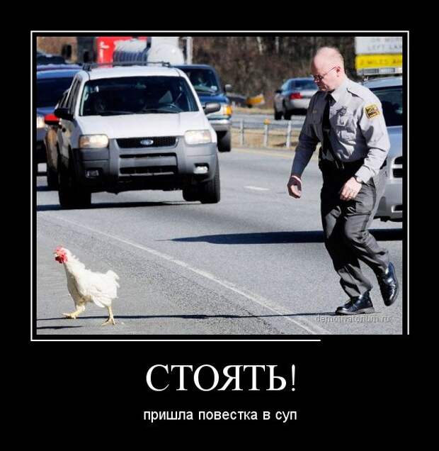 Демотиваторы (30 фото)