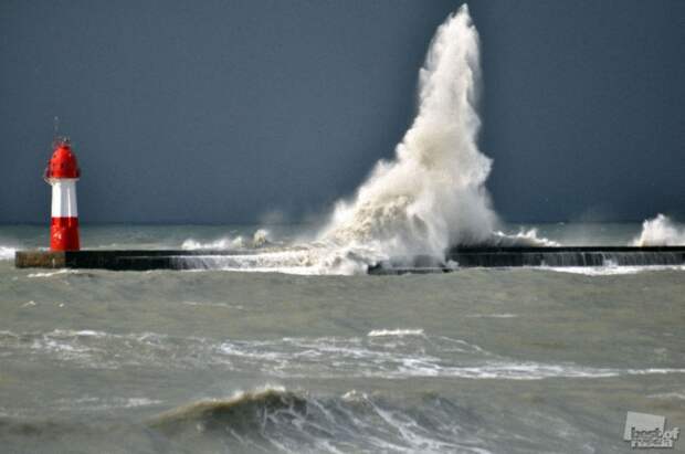 0364 Лучшие фотографии России 2011. Номинация “Природа”