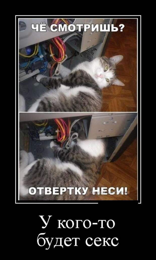 Демотиваторы