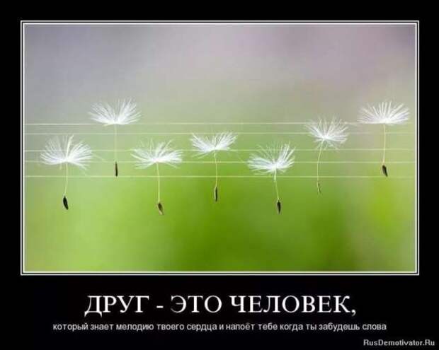 Прикольные демотиваторы с надписями. Подборка chert-poberi-dem-chert-poberi-dem-57570603092020-1 картинка chert-poberi-dem-57570603092020-1