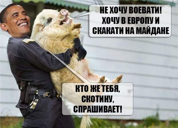 ggduaOSqmT0.jpg