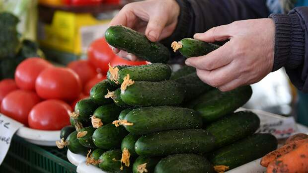 Росстат: рост цен на огурцы, помидоры и картофель в России с 2 по 8 ноября замедлился