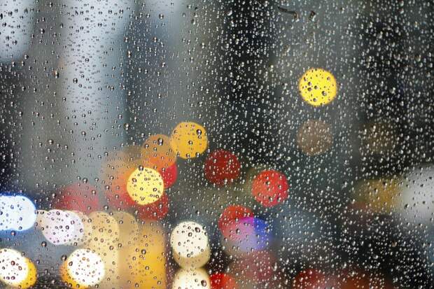 Жара и дожди ждут москвичей в пятницу