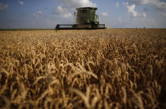 A combine drives through a field of soft red winter wheat during the harvest on a farm in Dixon, Illinois, July 16, 2013.    REUTERS-Jim Young