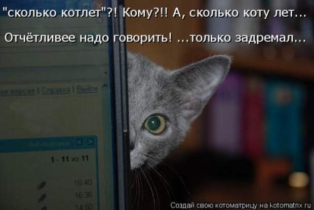 Свежая котоматрица (22 шт)