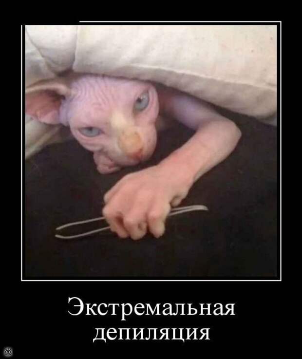 Ещё чуть-чуть демотиваторов 0