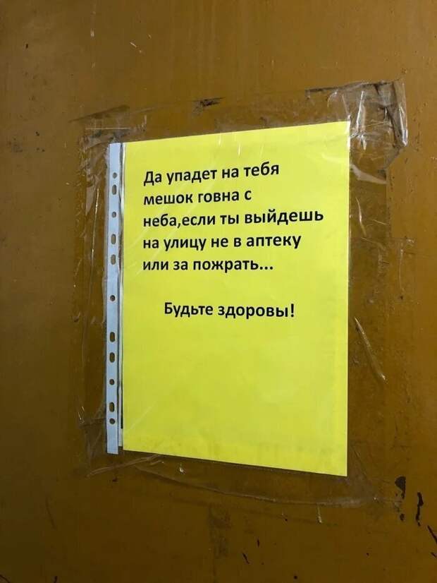 Объявления: ни дня без прикола