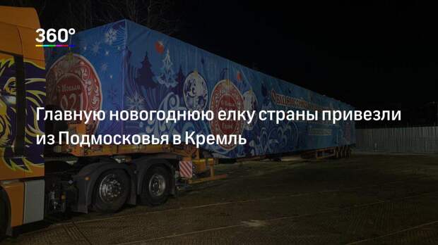 Главную новогоднюю елку страны привезли из Подмосковья в Кремль