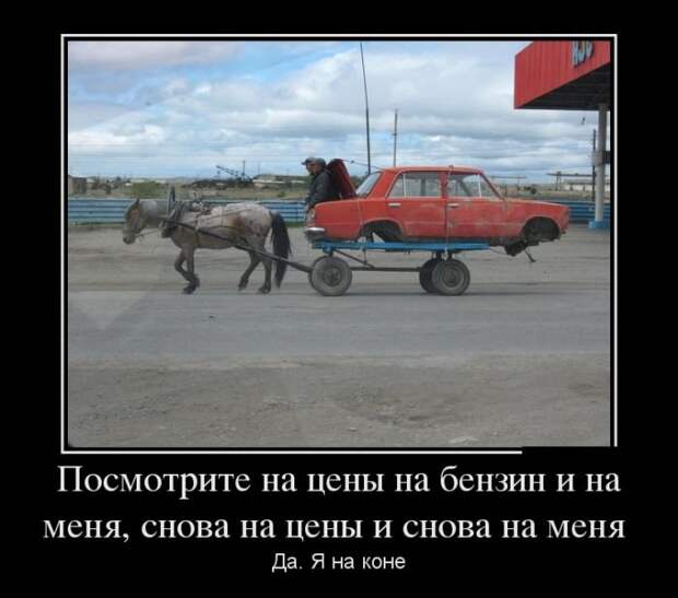 Демотиваторы (29.06.16) Демотиваторы (29.06.16)