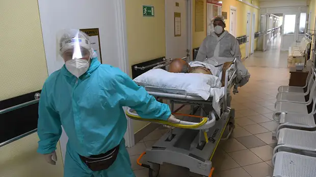 973 летальных исхода: в России зафиксирован новый максимум суточной смертности от COVID-19