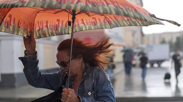 Сильный дождь, гроза и порывистый ветер в Москве: экстренное погодное предупреждение выпустило МЧС