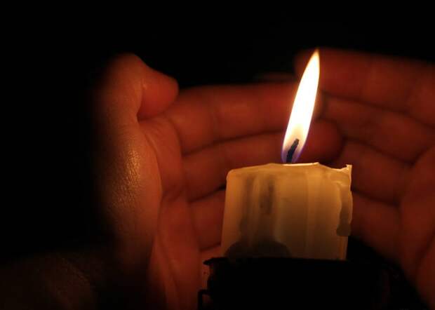 Российский писатель разбился насмерть, упав с дерева в Черногории