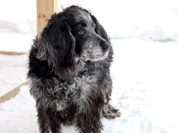 Потепление придёт в Тюмень