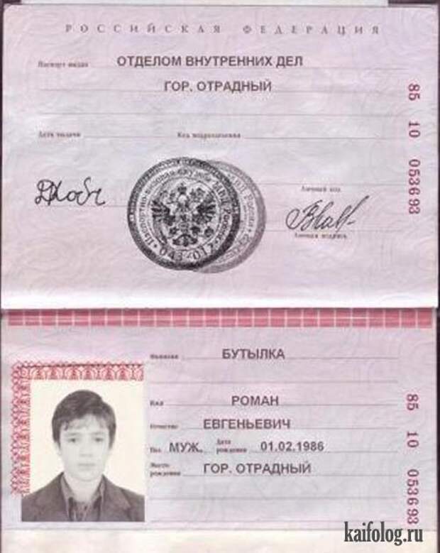 Прикольные паспорта и документы (25 фото)