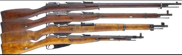 Сверху вниз: винтовка Мосина обр. 1891; карабин 1891; винтовка Мосина 1891/30; карабин Мосина 1938.