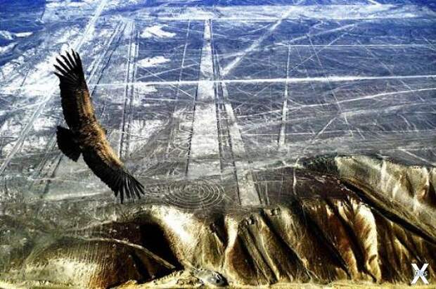 Как индейцы плато Наска в Перу нарисовали геоглифы?