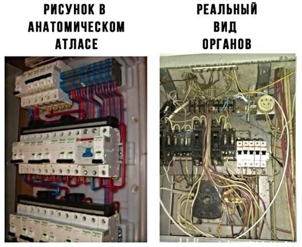 Картинки с надписями, истории и анекдоты