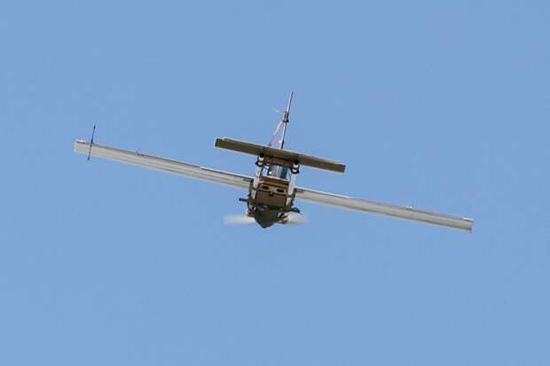 BI: Новая доработка сделала российские БПЛА "Молния" неуязвимыми для РЭБ