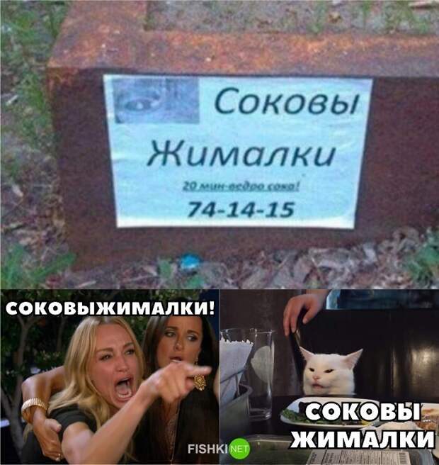Наши любимые мемы с котом