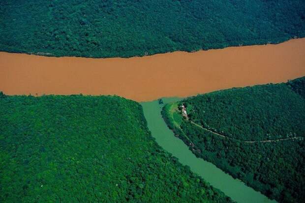 Место слияния реки Уругвай и ее притока в провинции Мисьонес, Аргентина. животные, интересное, удивительное, факты