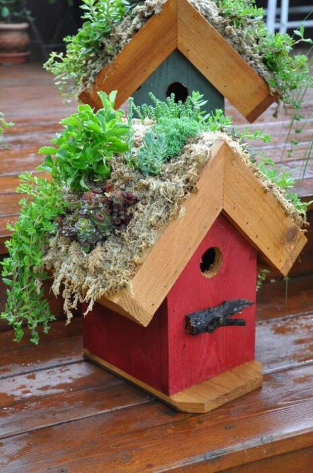 Кашпо в скворечнике /Фото:alltopcollections.com