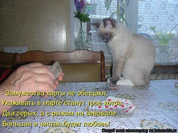 Котоматрица: - Замужества карты не обещают, Ухаживать в марте станут трое котов: Два серых, а с рыжим на сеновале Большая и чистая будет любовь!