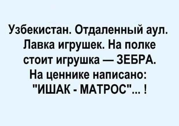 Лучшие юмористические картинки, которые подарят позитив на весь день
