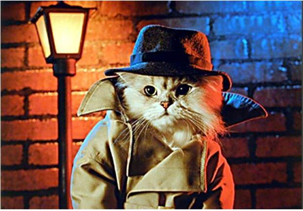 Латвия опровергла информацию о предоставлении воздушного коридора для БПЛА ВСУ