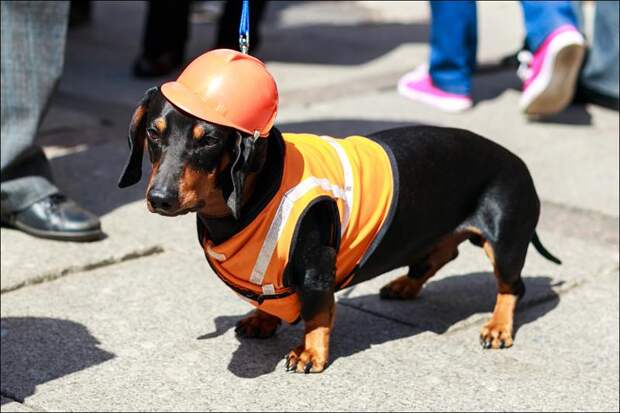 Кабелеукладчик