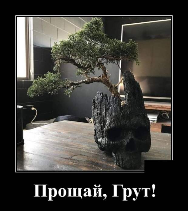 Демотиваторы (30 фото)