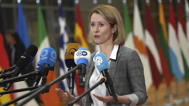 "Вооружены до зубов": Каллас призвала НАТО пойти на варварский шаг