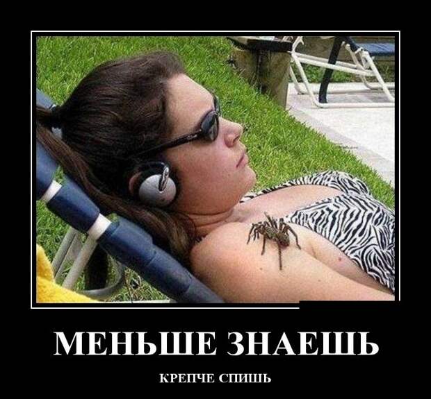 Демотиваторы (30 фото)
