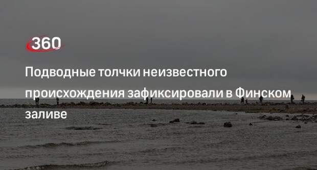 Финские сейсмологи сообщили о подводных толчках в заливе около Выборга