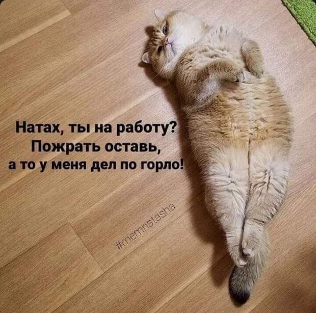 Плохое утро - это когда пили все вместе, а на работу только тебе...