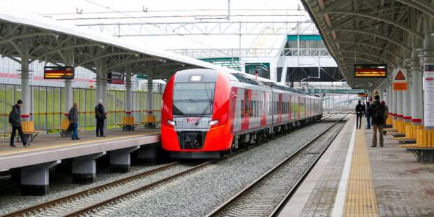 pd868g-TrBZX(9) alt