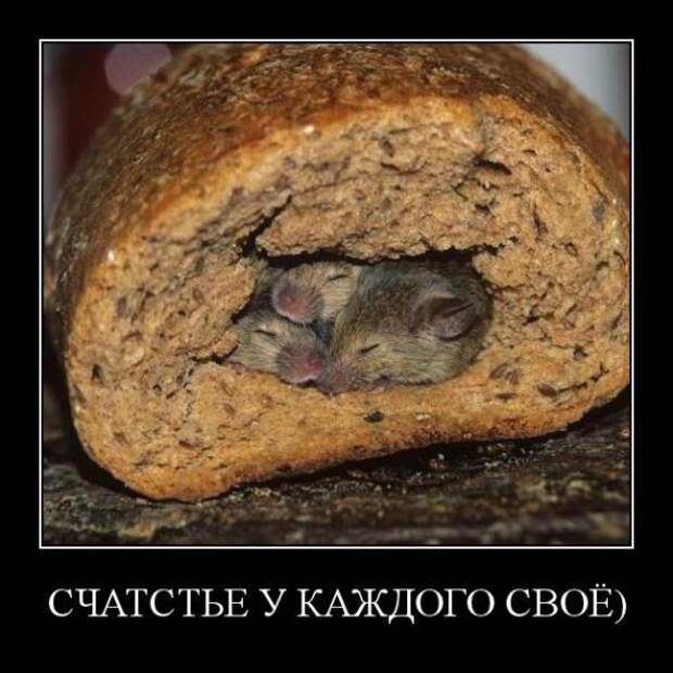 Демотиваторы " 101 %" 30/03/12