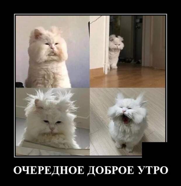 Демотиватор про доброе утро